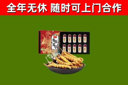宝鸡回收冬虫夏草价格